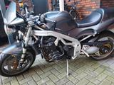 Triumph Speed Triple 955i t509 - TRIUMPH 2000