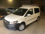 Volkswagen Caddy 2.0 TDI*SORTIMO*AHK*ACC*STANDHZG*LEDER*SHZ - Sortimo gebraucht