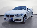 BMW 218i Cabrio Advantage Aut. Navi Business PDC LM - BMW 2er Reihe aus 2019