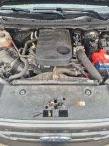 Ford Ranger - Ford Ranger Gebrauchtwagen in Gelsenkirchen