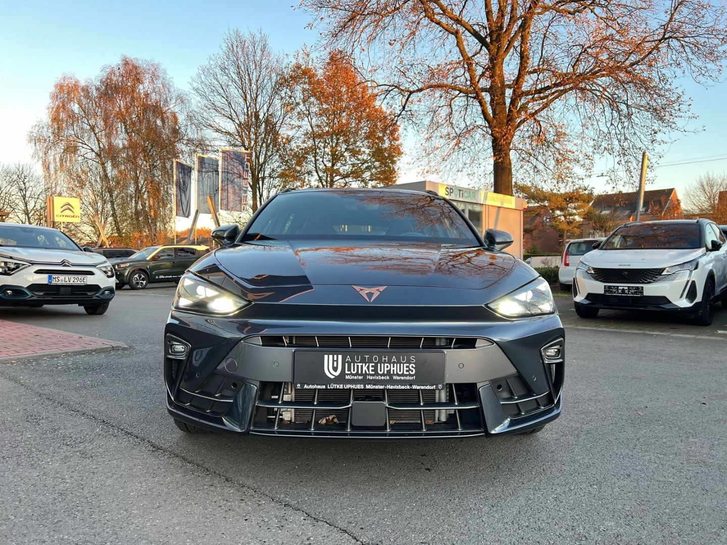 Fahrzeugabbildung CUPRA Leon Sportstourer 1.5 eTSI AD El. Panodach SHZ