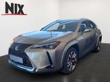 Lexus UX 300e Entry + Luxury-Paket + HUD - Lexus Gebrauchtwagen in Frankfurt
