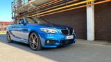 BMW 230i Steptronic Cabrio M Sport M Sport - BMW 230: I