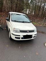 Fiat Panda - Fiat Panda Gebrauchtwagen in Saarbrücken
