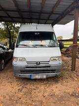 Peugeot Einzigartiger Peugeot Boxer Camper wenig KM!! - Peugeot aus 2001