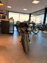 Triumph Daytona 660 / Modelljahr 2025 - TRIUMPH SPORTLER DAYTONA