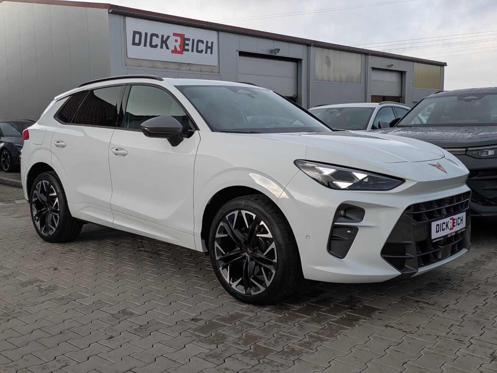 Fahrzeugabbildung CUPRA Terramar 2.0 TSI 4D VZ HUD*MATRIX*PANO*DCC*20"