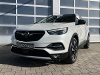 Opel Grandland X 2.0 CDTI Aut. INNOVATION NAV KAM AHK bei Autohaus Landmann & Maier OHG