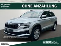 Skoda Karoq - Vorschau Bild 1