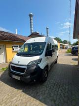Peugeot Boxer 1st owner!!! 9 Seats!  2 x PIECES !!!  - Peugeot Boxer: 1.9