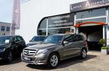 Mercedes-Benz GLK 220 GLK -Klasse  BlueEfficiency 4Matic - Mercedes-Benz GLK 220: Grau