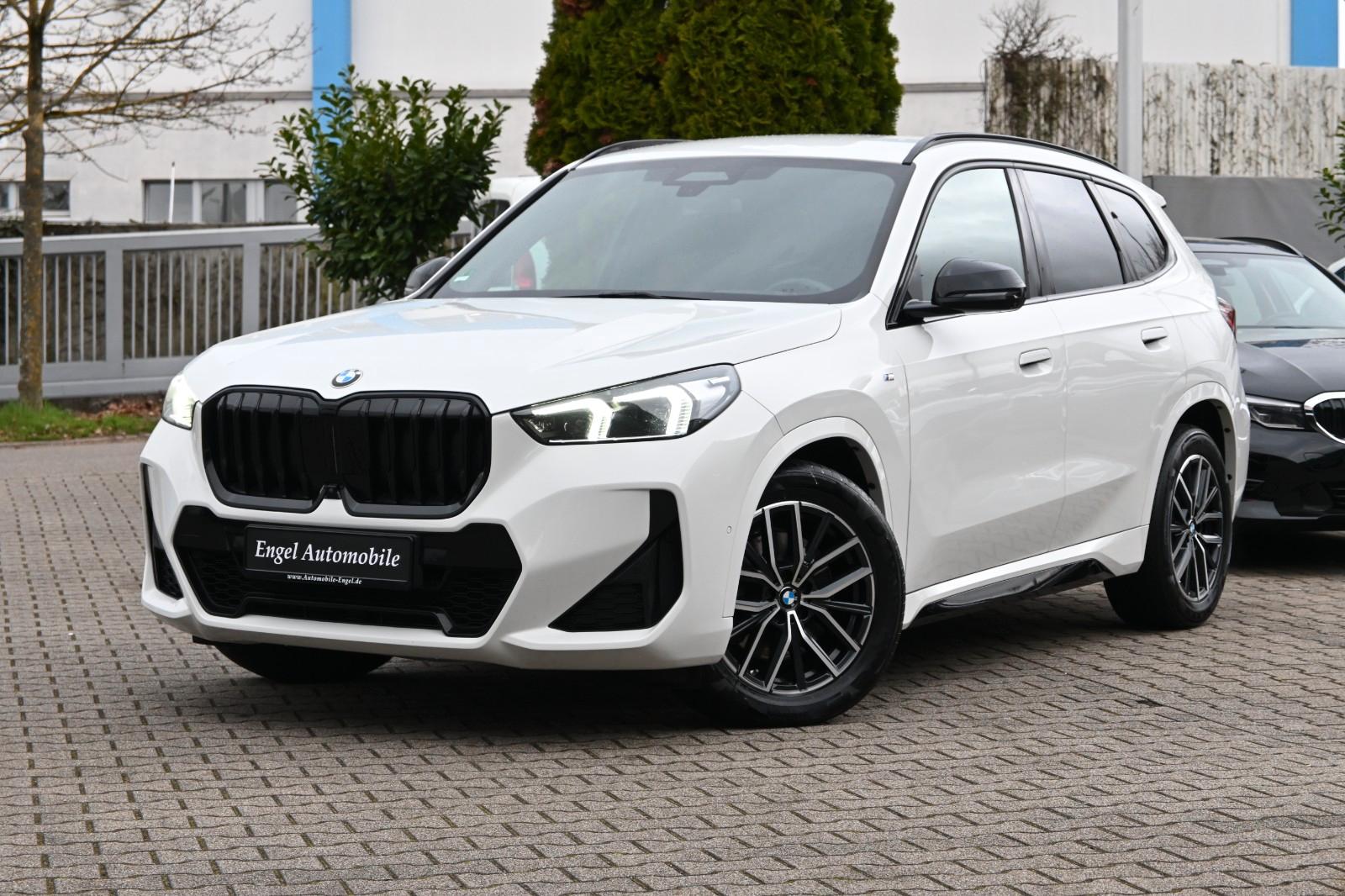 BMW X1 23 d xDrive M Sport 360Kam ACC