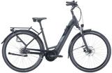 Pegasus Solero EVO 8R L (28 Zoll) - Pegasus E-Bikes