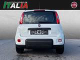 Fiat Panda City Life 1.0 Hybrid *8-Fach* - Fiat Panda CITY-LIFE