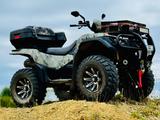 Suzuki King Quad - Tree Edition - Offers