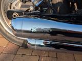 Harley-Davidson FXDF Fat Bob in Topzustand !  - HARLEY-DAVIDSON FAT BOB