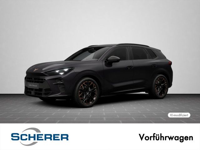 Image of Cupra Terramar