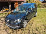 Volkswagen Caddy 2,0TDI 103kW BMT Roncalli Edition 5-S ... - Volkswagen Caddy: Roncalli Edition