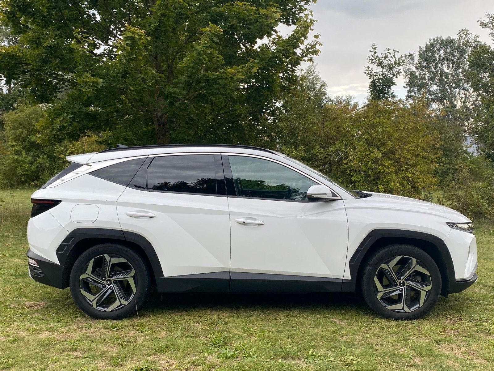 Fahrzeugabbildung Hyundai TUCSON 1.6 T-GDI PHEV *Navi*ACC*LED*RFKamera*