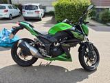 Kawasaki Z300 - Reifen Neu, TÜV bis 2027 - KAWASAKI 300