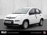 Fiat Panda Mild Hybrid City Paket  Gelato Weiß - Fiat Panda Gebrauchtwagen in Aachen