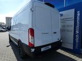 Ford Transit Kasten Trend 350L3 #EXPRESS-LINE #AKTION - Angebote