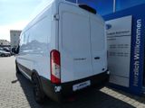 Ford Transit Kasten Trend 350L3 #EXPRESS-LINE #AKTION - Angebote entsprechen deinen Suchkriterien