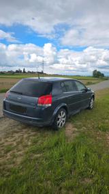Opel verkaufe opel signum 2.2 - Opel Signum von privat