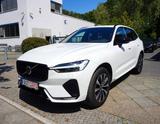 Volvo XC 60 R-Design Plus Dark CarP. Harman-K. 1.Hd - Volvo Hybrid (Diesel/Elektro)