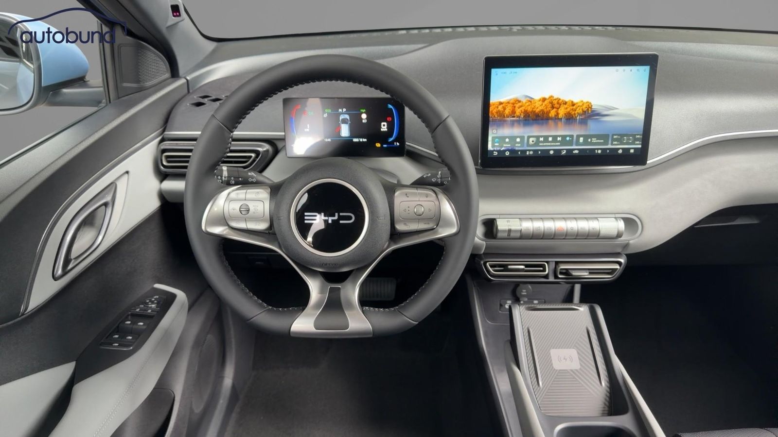 BYD DOLPHIN SURF