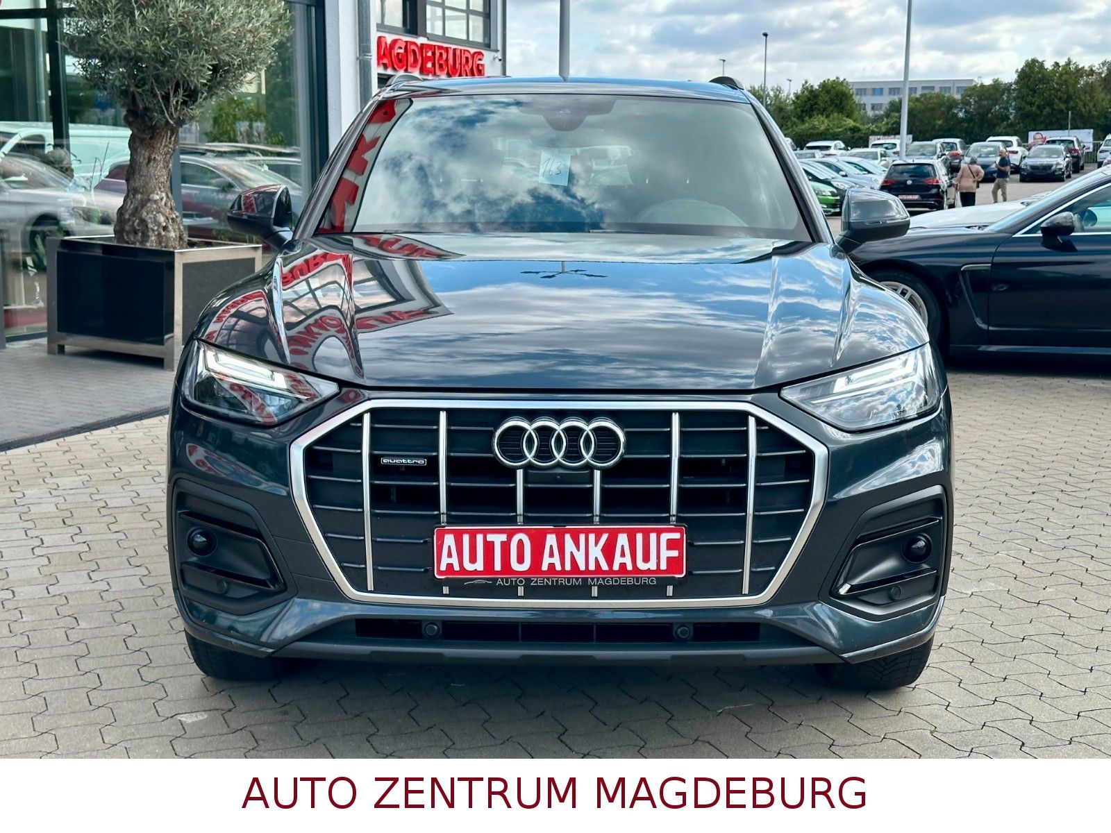 Audi Q5 Sportback 40 TDI QUATTRO LED PANODACH LEDER foto 3