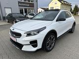 Kia XCeed Platinum Edition 40.TKM/PAN.SD/NAVI/KAMERA