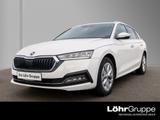 Skoda Octavia Combi 2.0 TDI Style Business Columbus - Skoda Octavia: Business