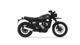 BSA Scrambler 650 Sofort verfügbar - Offers
