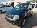 Fiat Panda 1.2 8V Trekking 4X4 - Fiat Panda aus 2010: Allradantrieb