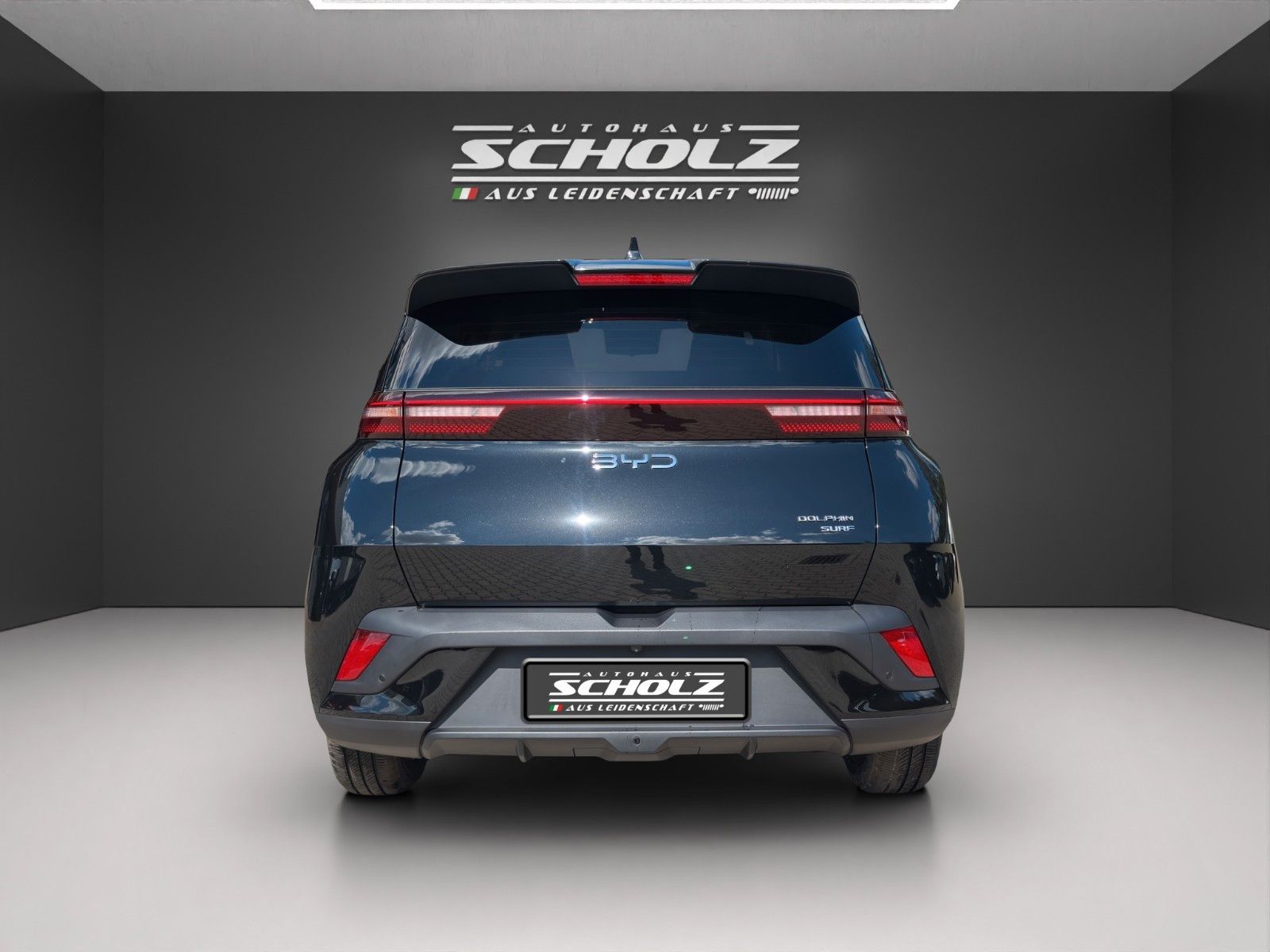 BYD DOLPHIN SURF