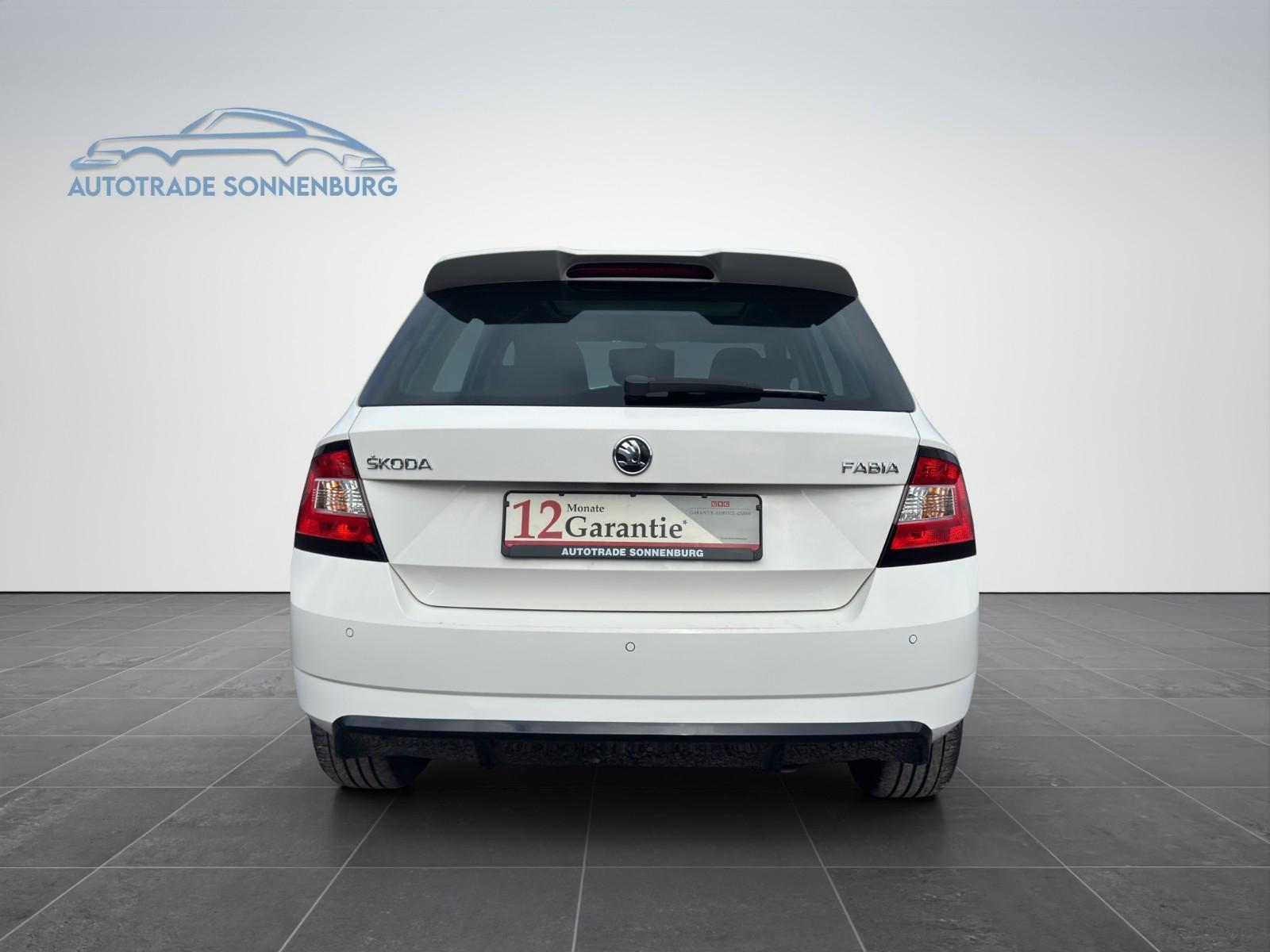 Skoda Fabia Monte Carlo*Panorama