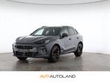 Cupra Terramar 2.0 TSI DSG 4Drive VZ | PANO | ACC | - Cupra Terramar mit Benzin-Antrieb: Grau