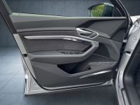 Audi e-tron - Vorschau Bild 24
