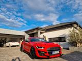 Ford Mustang Shelby facelift GT 500 3,7l LPG umbau - Ford Mustang mit LPG-Antrieb: Leder