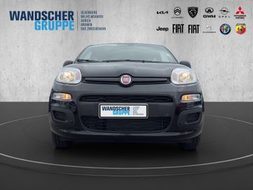 Fiat Panda MY25-Panda Hybrid 1.0 PDC KLIMA ZV