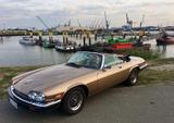 Jaguar XJS Convertible V 12 Oldtimer - Jaguar XJS: 12 V