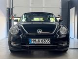 Volkswagen Beetle Cabrio DSG Exclusive Leder Kamera Fender - Volkswagen Gebrauchtwagen in Saarbrücken