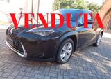 Lexus UX Hybrid Business - schwarze Lexus UX