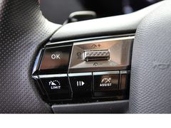 Fahrzeugabbildung DS Automobiles DS4 E-Tense Performance Line +*Night Vision!*1.H