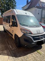 Fiat Ducato - Fiat Ducato von privat