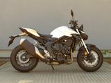 Honda CB1000 Hornet # 6 Jahre Garantie # *50/50