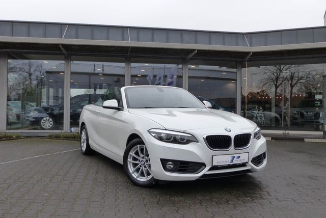 BMW 218i Cabrio Aut. Leder Navi PDC Windschott