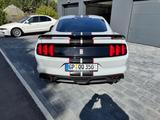 Ford Shelby GT 350 Fastback - Ford Mustang: Shelby Gt350