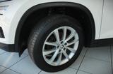 Skoda Kodiaq 2.0 TDI Aut. Active 7-Sitzer - Skoda Kodiaq Active mit Diesel-Antrieb